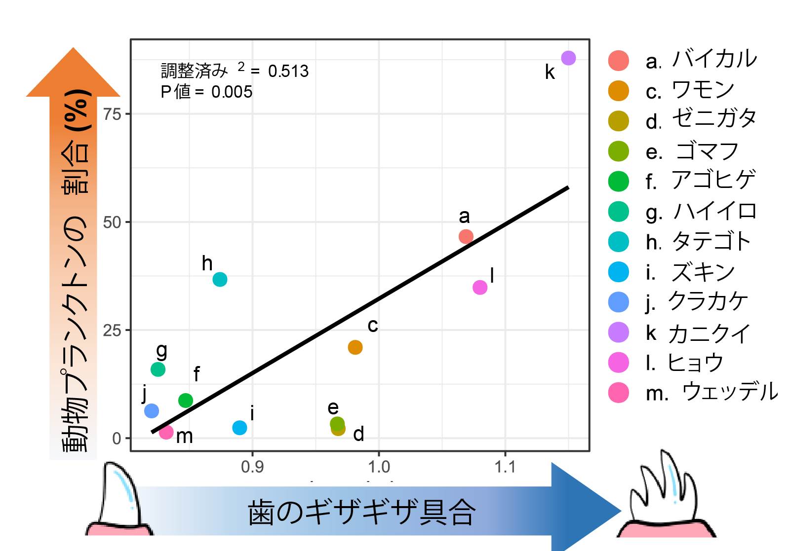 アザラシのギザギザの歯