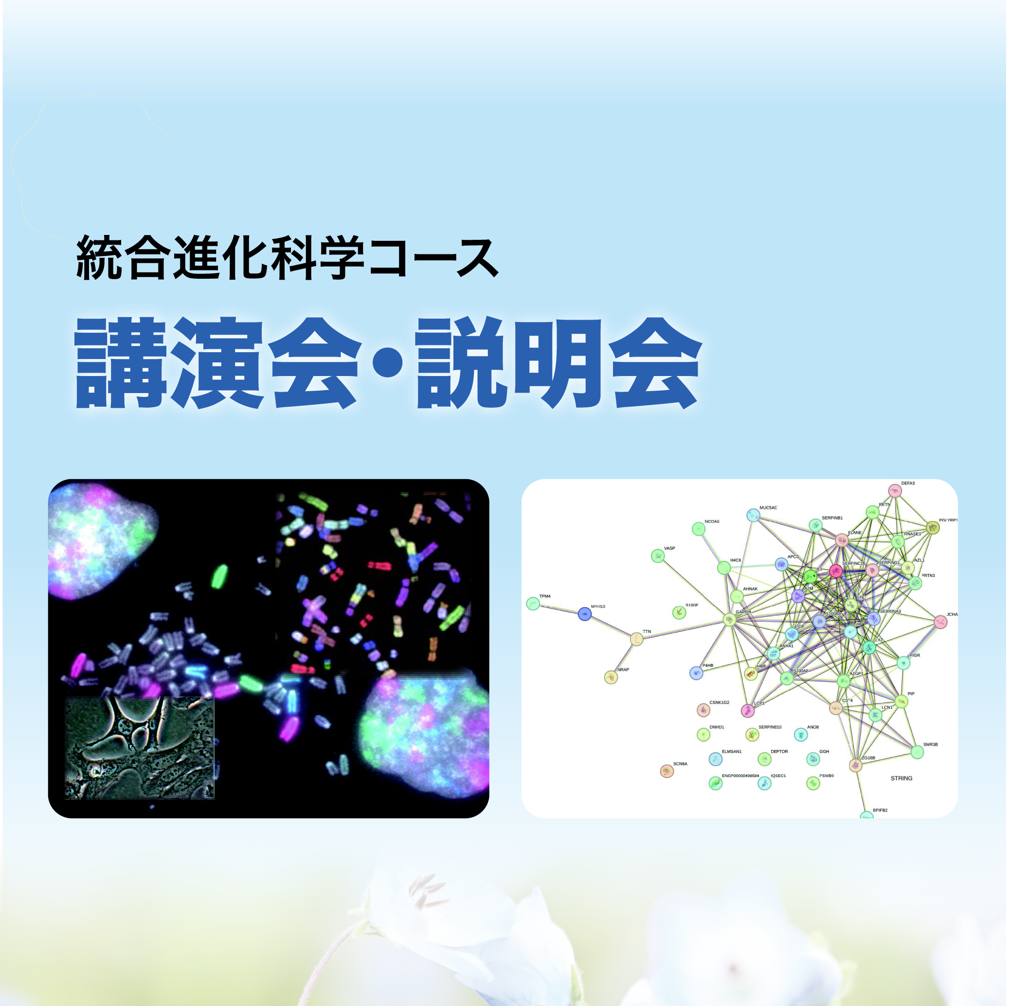 入試説明会・講演会